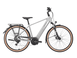 PEGASUS Solero EVO 9 Diamant | 55 cm | alpina grey | 625 Wh