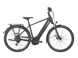 PEGASUS Solero EVO 9 Diamant | 60 cm | matte black | 625 Wh