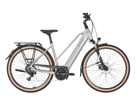 PEGASUS Solero EVO 9 Trapez | 45 cm | alpina grey | 500 Wh