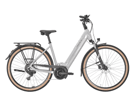 PEGASUS Solero EVO 9 Wave | 55 cm | alpina grey | 500 Wh