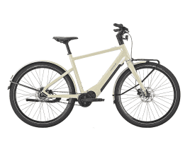 PEGASUS Versario EVO Diamant | 50 cm | pebble grey | 740 Wh