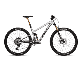 Pivot Cycles Trail 429 Pro XT/XTR w/ Carbon Wheels | MD | Silver Metallic