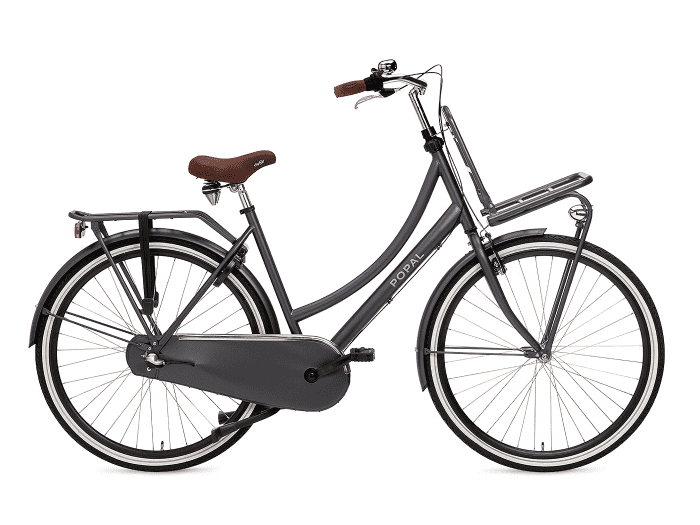 Foto: Popal Daily Dutch Basic+ Fahrrad City