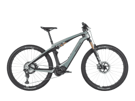 Porsche eBike Cross Performance EXC L | shadegreen Metallic