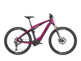 Porsche eBike Cross Performance EXC L | sternrubin