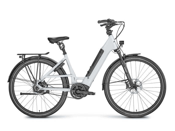 Foto: ROSE XTRA WATT EVO ROHLOFF DAMEN KOMFORT E-Bike Trekking