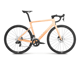 ROSE XLITE 04 Rival AXS 62 cm | grapefruit paloma