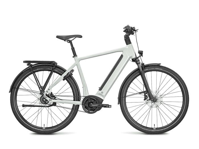 Foto: ROSE Xtra Watt Plus 2 E-Bike Trekking
