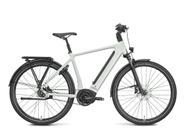ROSE Xtra Watt Plus 2 