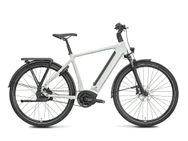 ROSE Xtra Watt Plus 3 