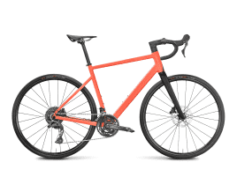ROSE Blend Road XS | matt salmon