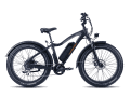 Vorschaugrafik: Rad Power Bikes Fatbike