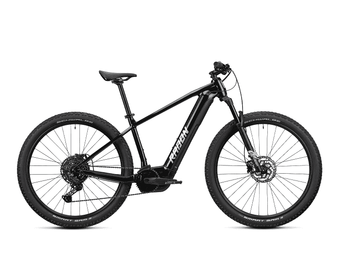 Foto: Radon Jealous Hybrid 7.0 625 E-Bike MTB Hardtail