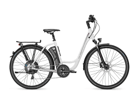 Raleigh Stoker X5 Wave | S