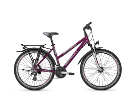 Raleigh FunMAX Trapez | S