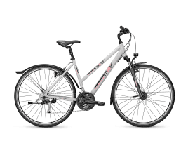 Raleigh StreetMAX 1.0 Trapez | S