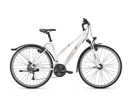 Raleigh StreetMAX 2.0 Trapez | S