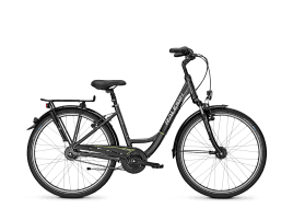 Raleigh Unico DLX Wave | S