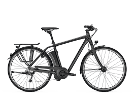 Raleigh Leeds 9 HS Diamant | M | 396 Wh