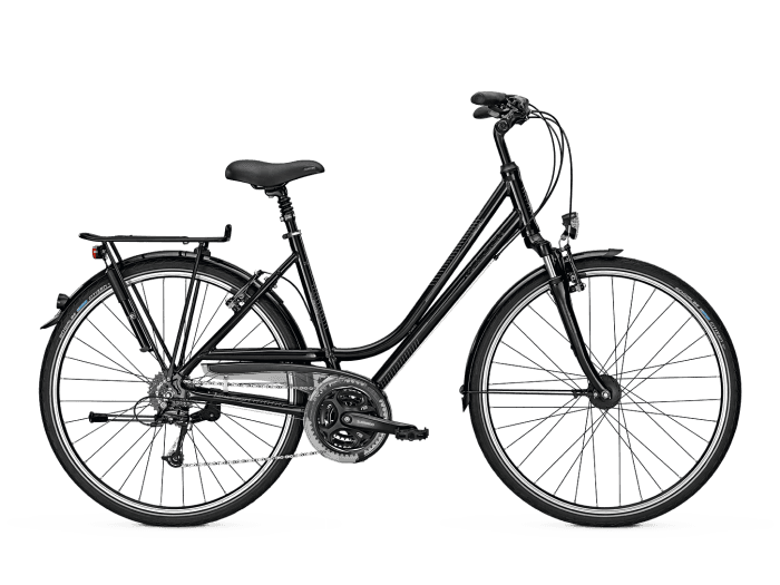 raleigh oakland women's bike