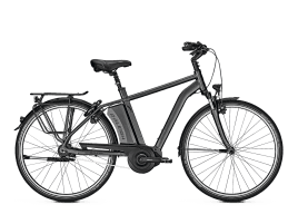 Raleigh CORBY 8 Di2 