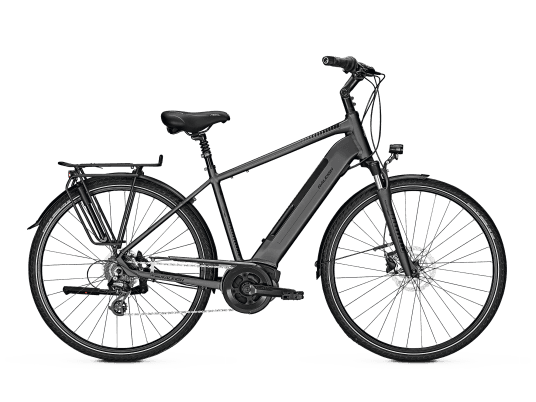 Raleigh BRISTOL 9 - Trekking E-Bike - 2019