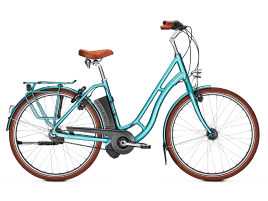 Raleigh DOVER CLASSIC 50 cm | iceblue glossy