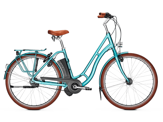 Raleigh DOVER CLASSIC - Trekking E-Bike - 2019