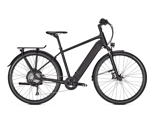 Raleigh STANTON 11 - Trekking E-Bike - 2019