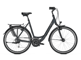 Raleigh CHESTER 27 XXL Wave | 60 cm