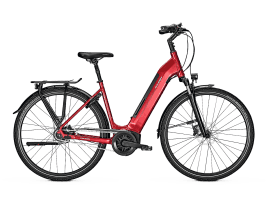 Raleigh Bristol 8 R Wave | S | barolored glossy