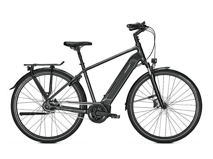 Raleigh Bristol 8 Diamant | L | deepgreen glossy