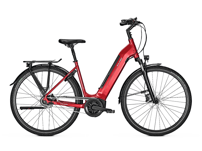 Raleigh Bristol 8 Wave | S | barolored glossy