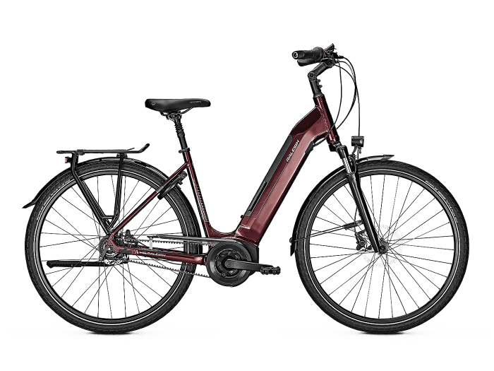 raleigh e bike bristol premium