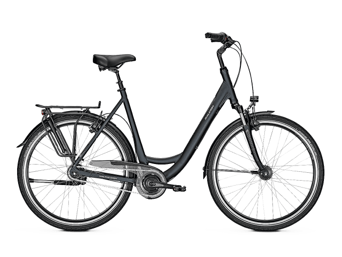 Raleigh Chester 8 XXL R Wave | L
