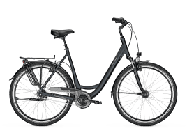 Raleigh Chester 8 XXL R Wave | L