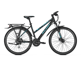 Raleigh Funmax Disc Trapez | S