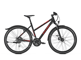 Raleigh Streetmax Trapez | S