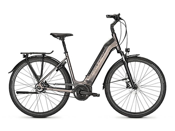 Raleigh Bristol Premium Wave | M | crystalgrey glossy | Freilauf