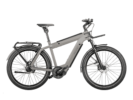 Riese & Müller Supercharger GT rohloff 56 cm | silver matt