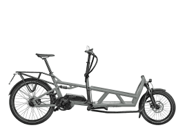 Riese & Müller Load 60 rohloff HS tundra grey matt | Bosch Intuvia | 1.000 Wh