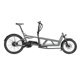 Riese & Müller Load 60 vario tundra grey matt | Bosch Intuvia | 500 Wh