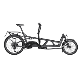 Riese & Müller Load4 60 touring HS 