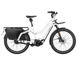 Riese & Müller Multicharger2 Mixte GT vario HS ABS 