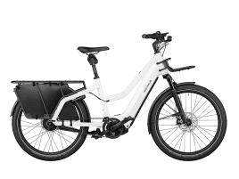 Riese & Müller Multicharger2 Mixte GT vario 