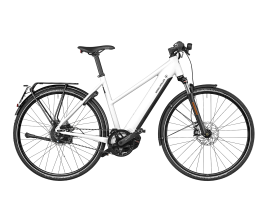 Riese & Müller Roadster Mixte vario HS 