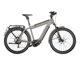 Riese & Müller Supercharger GT touring HS 46 cm | silver matt | Bosch Intuvia | 1.250 Wh