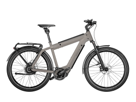 Riese & Müller Supercharger GT vario 46 cm | silver matt | Bosch SmartphoneHub | 1.250 Wh