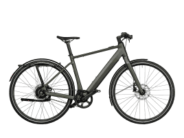 Riese & Müller UBN Five vario 57 cm | selva | Suntour GVX32, 28″, Air, tapered