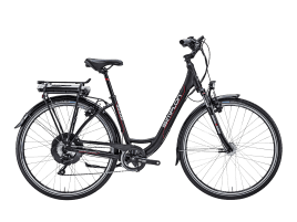 SIMPLON ALULITE E-Bike 45 cm | Mattschwarz eloxiert | ETR 10